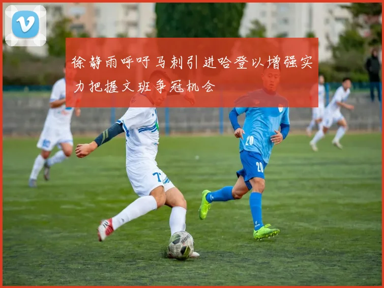徐静雨呼吁马刺引进哈登以增强实力把握文班争冠机会