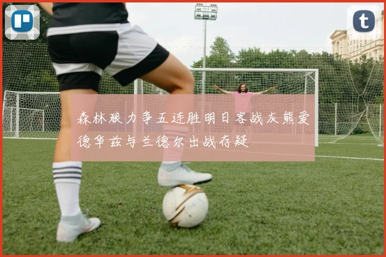 森林狼力争五连胜明日客战灰熊爱德华兹与兰德尔出战存疑