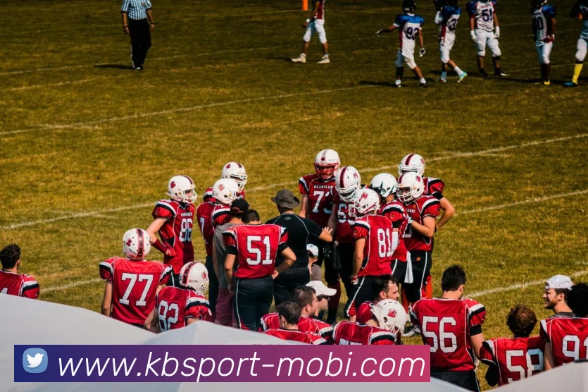 KB体育平台生态图