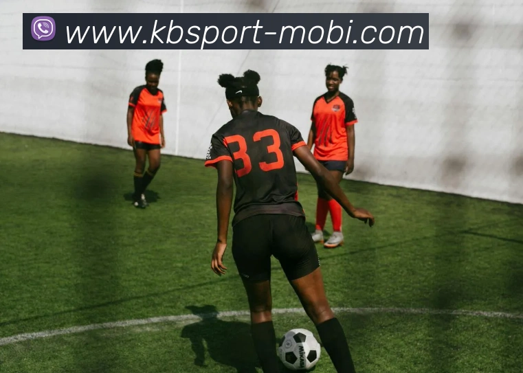 KB体育APP 封面图